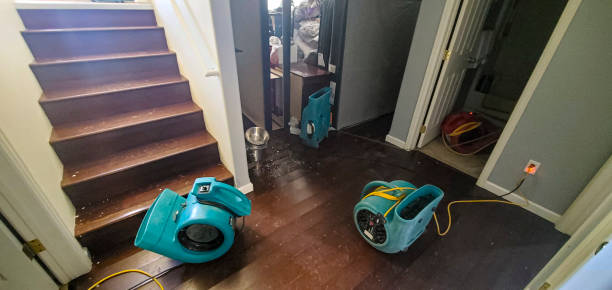 Best Water damage restoration near me  in Sierra Ridge, CO