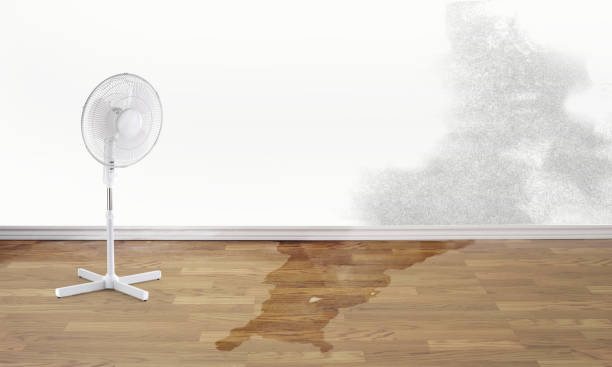 Best Flooded house restoration  in Sierra Ridge, CO