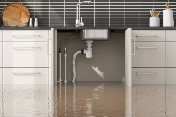Best Ceiling water damage repair  in Sierra Ridge, CO